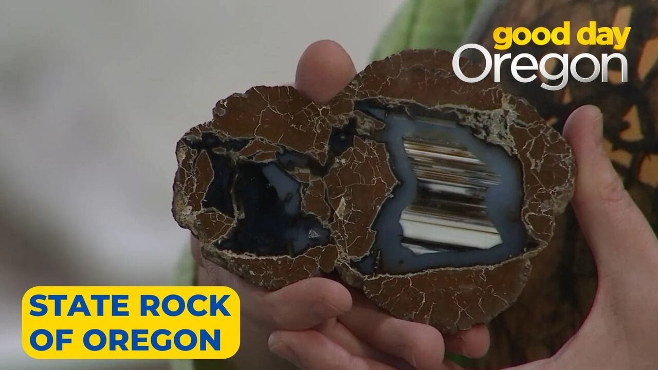 Hillsboro museum celebrates Oregon’s state rock with ‘Great Thunderegg Hunt’