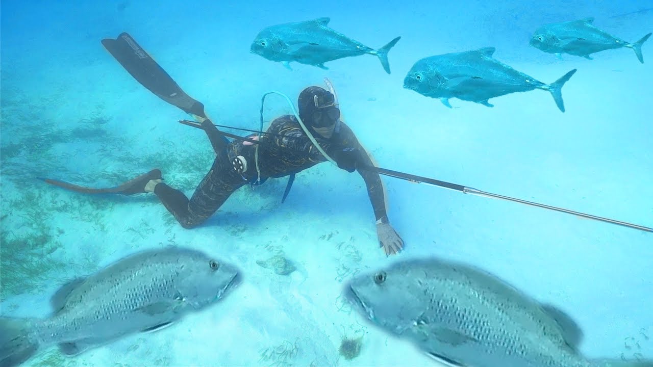 NEWEST Spearfishing Technology! | Remote Island Catch n Cook