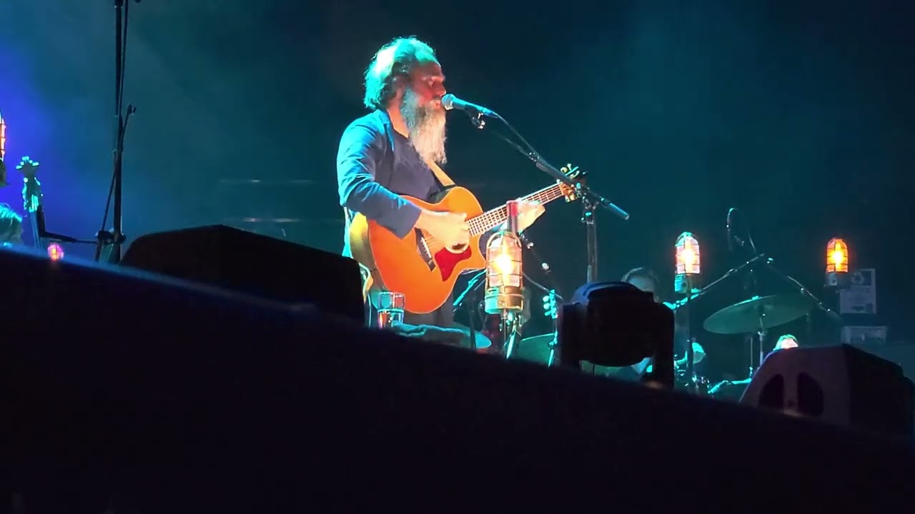 Iron and Wine-- Call It Dreaming
