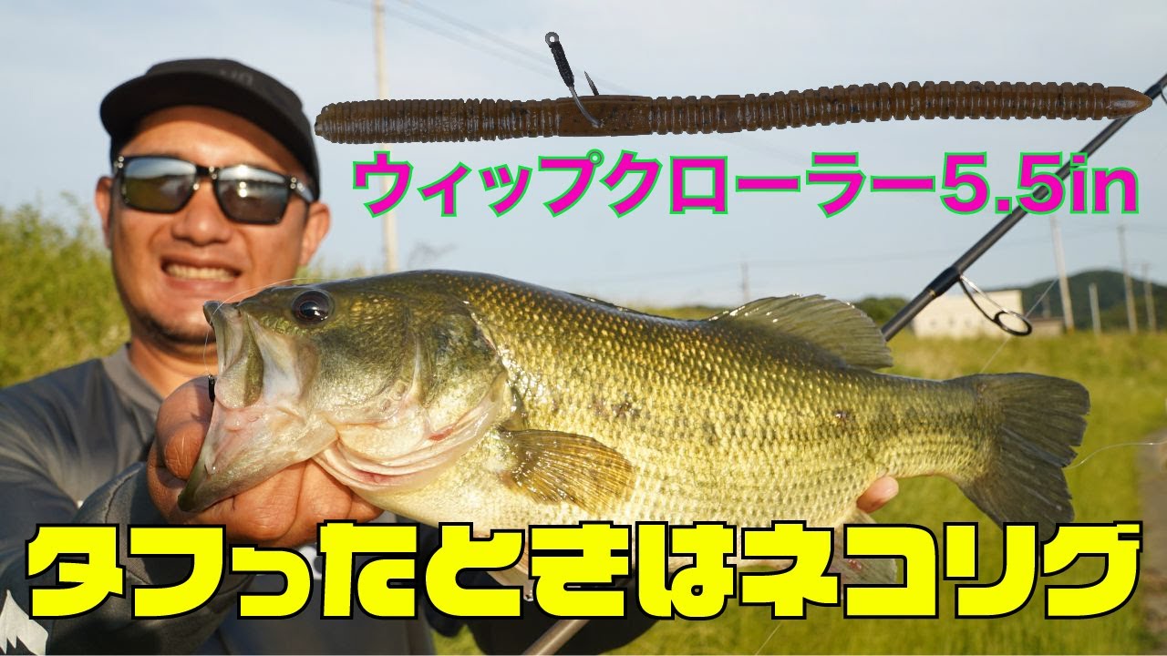 【岡友成】タフったときはやっぱりネコリグ【岡山県倉敷川水系】
