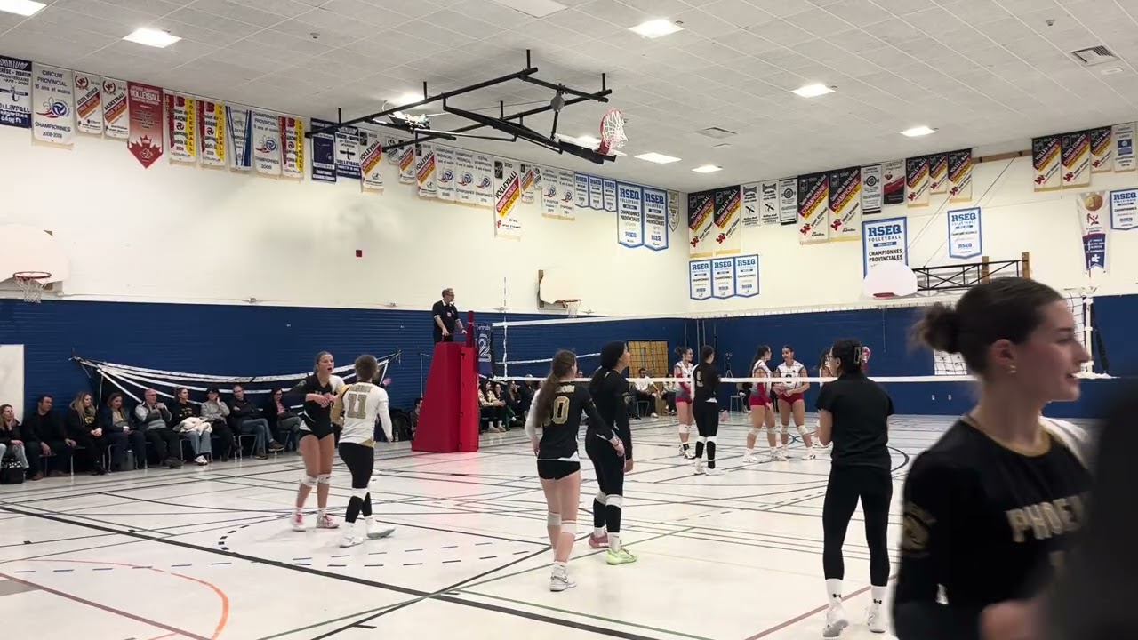 Phœnix Gold VS Citadins_1