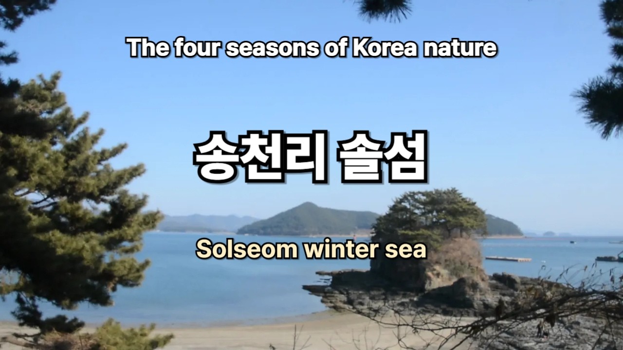 Seaside view of Solseom Island 솔섬 겨울바다 풍경 물멍 바다멍