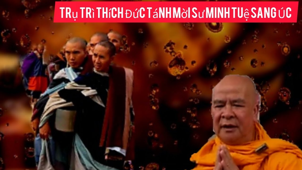 Đức hạnh sư Minh Tuệ lan tỏa khắp thế gian- sự nhiệm mầu của Phật pháp ! #sưminhtue #india ..