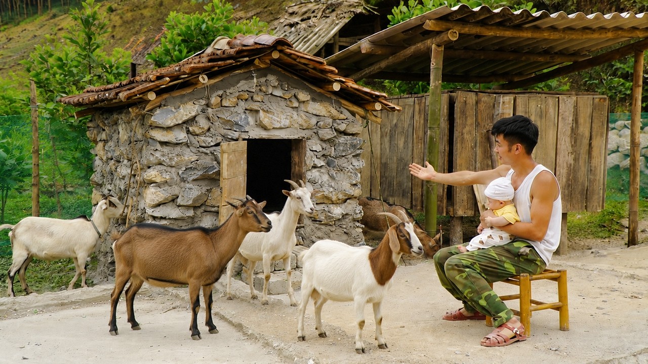 The soldier took care of the baby while building a goat shed to start a new life.