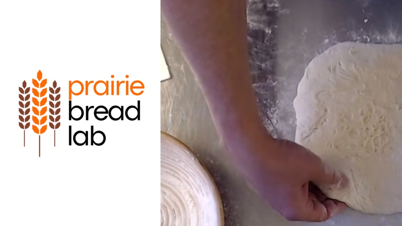 Shaping a Sticky Dough into a Boule