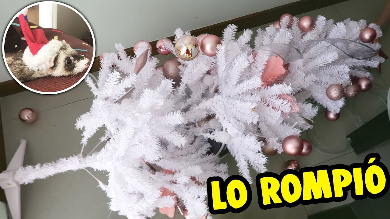 ¡HUMITA DESTROZÓ NUESTRO ÁRBOL DE NAVIDAD!