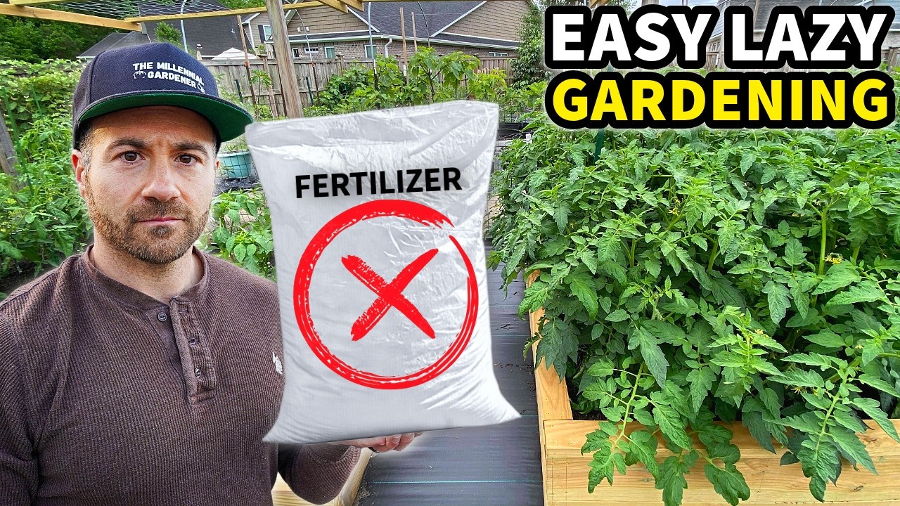 These Plants HATE Fertilizer! Lazy Gardening On A Budget