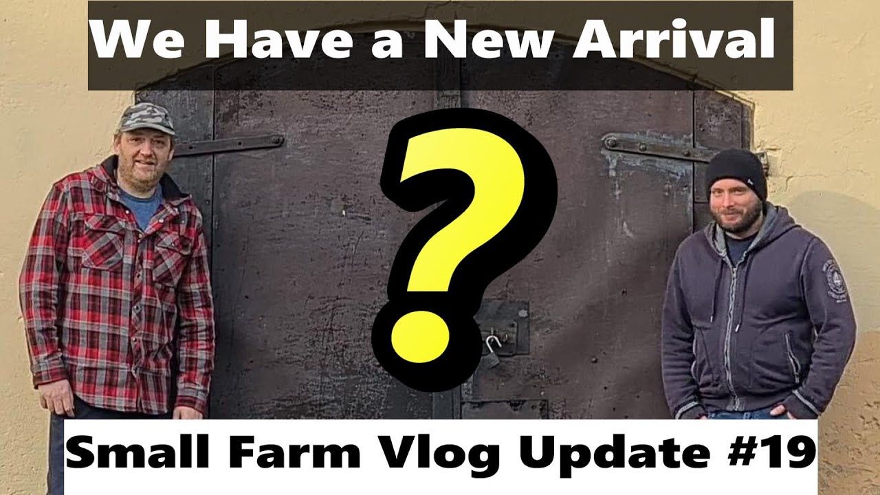 New Arrival on the Small Farm Homestead - Farm Vlog 19