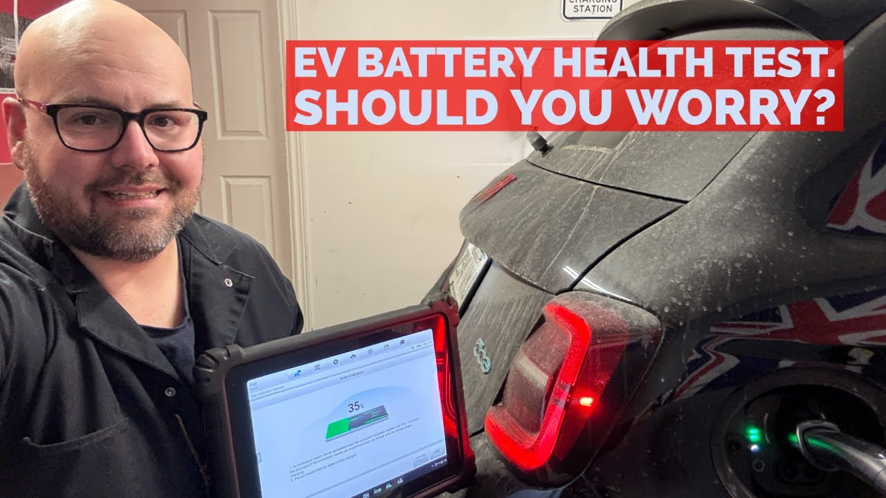 EV Battery Health Test | How Much Battery Capacity Has It Lost?