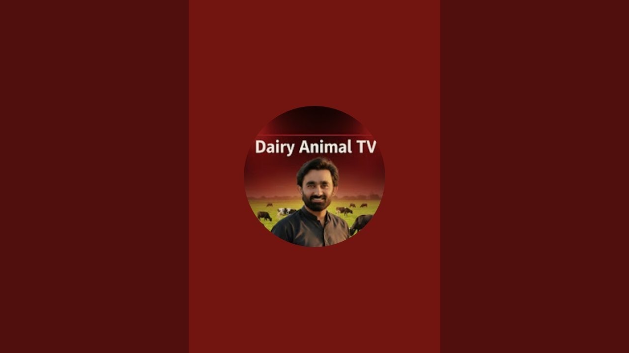Haseen punjab tv is live