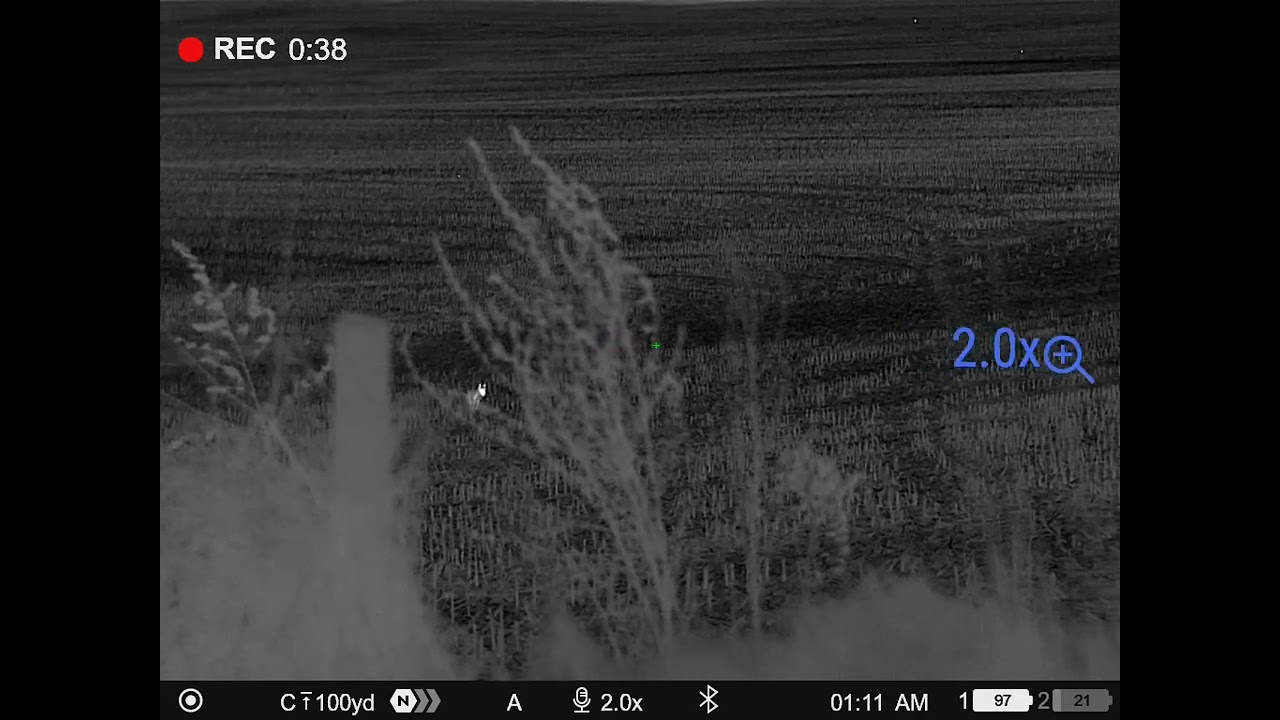 Pulsar Thermion 2 Xp50 Pro LRF.....Up Close and personal