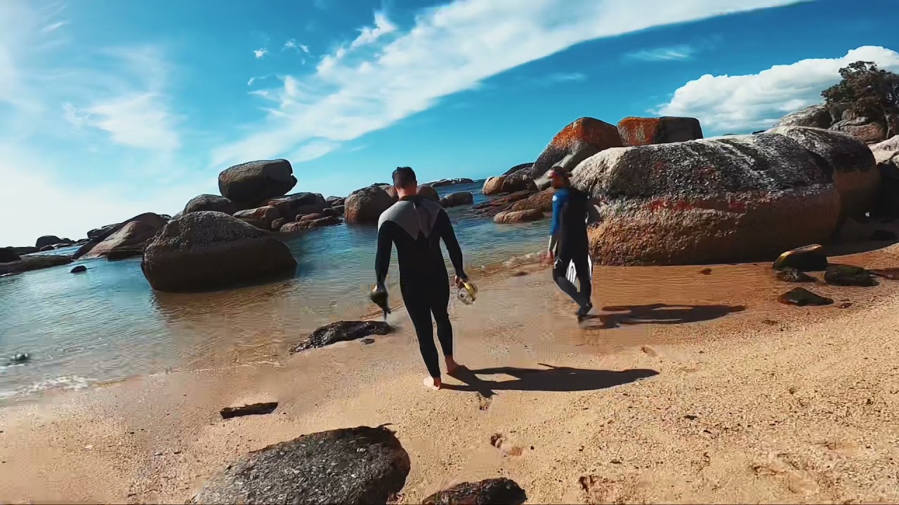 Snorkeling 12 Apostles, Cape Town