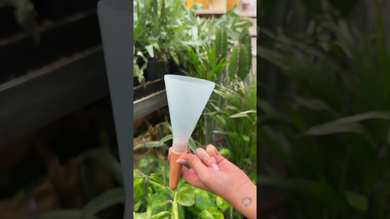 El truco perfecto para cuidar tus plantas