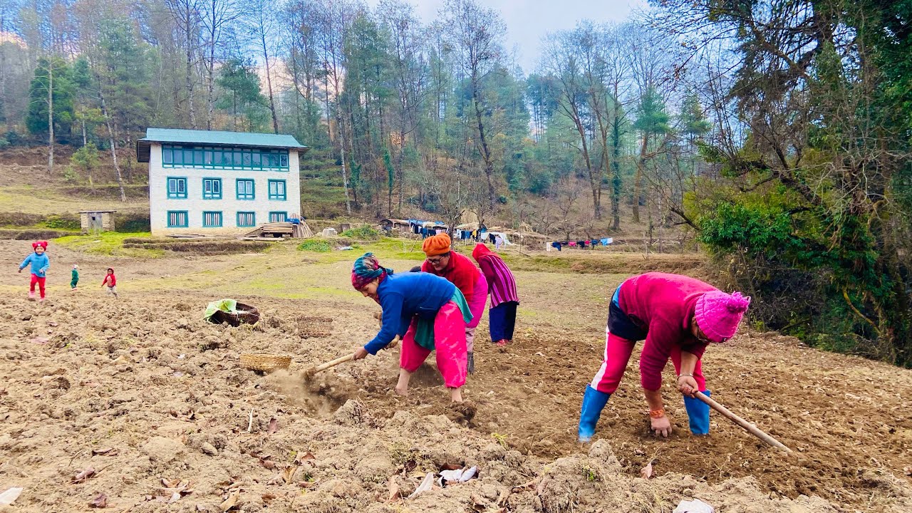 Village life in Solukhumbu.........