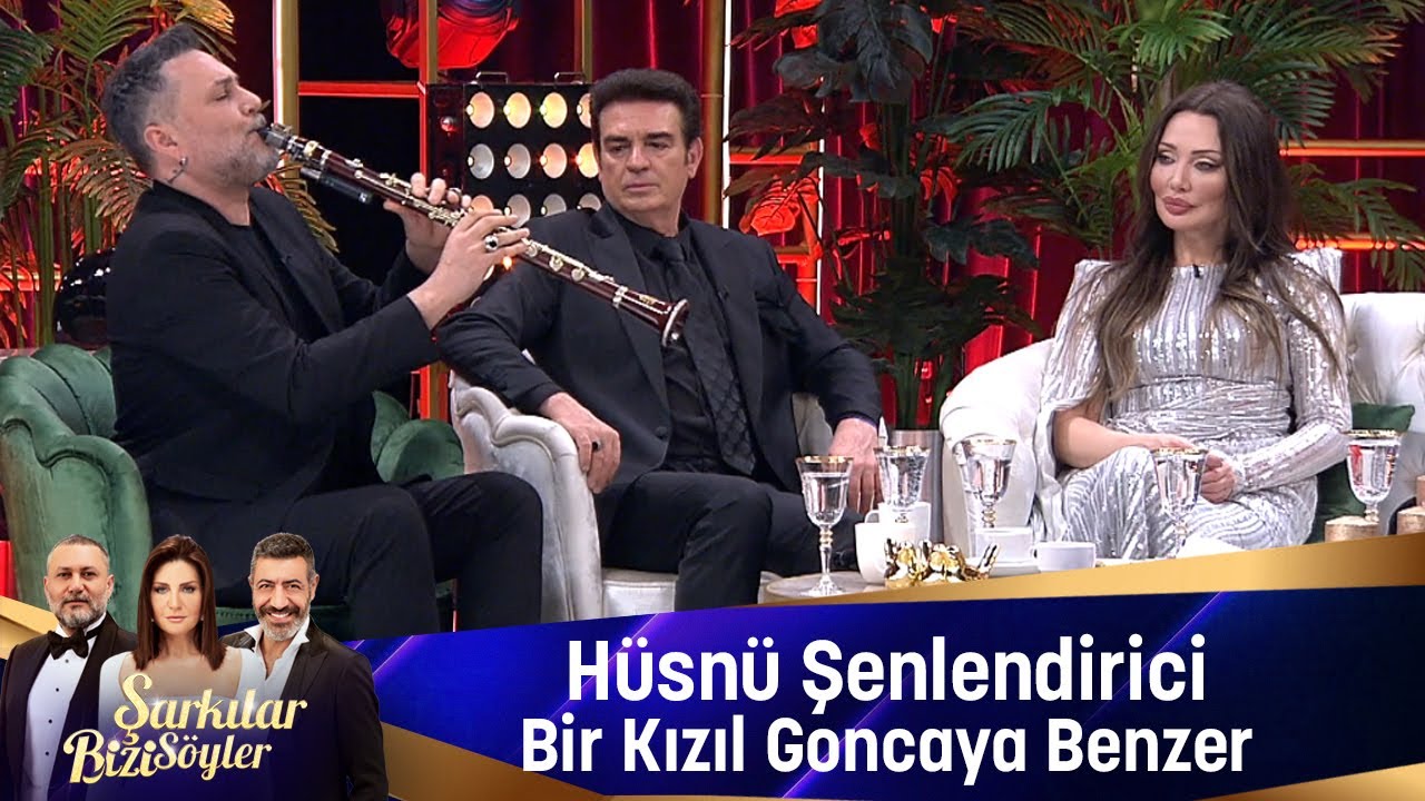 Hüsnü Şenlendirici - BİR KIZIL GONCAYA BENZER
