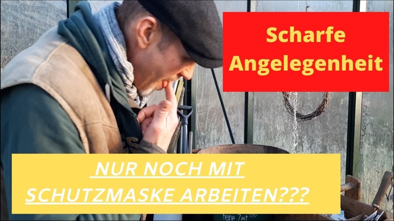 Chili Aussaat kleine gartenarbeit