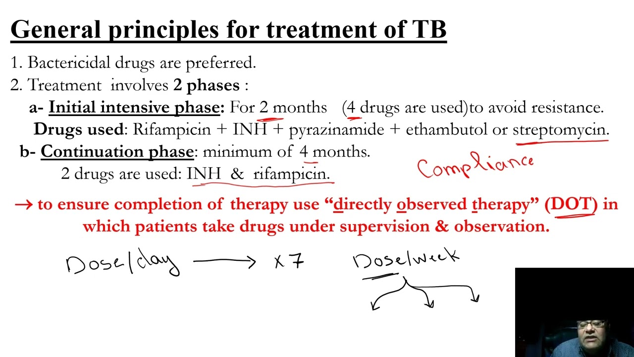 Drug Therapy Of TB