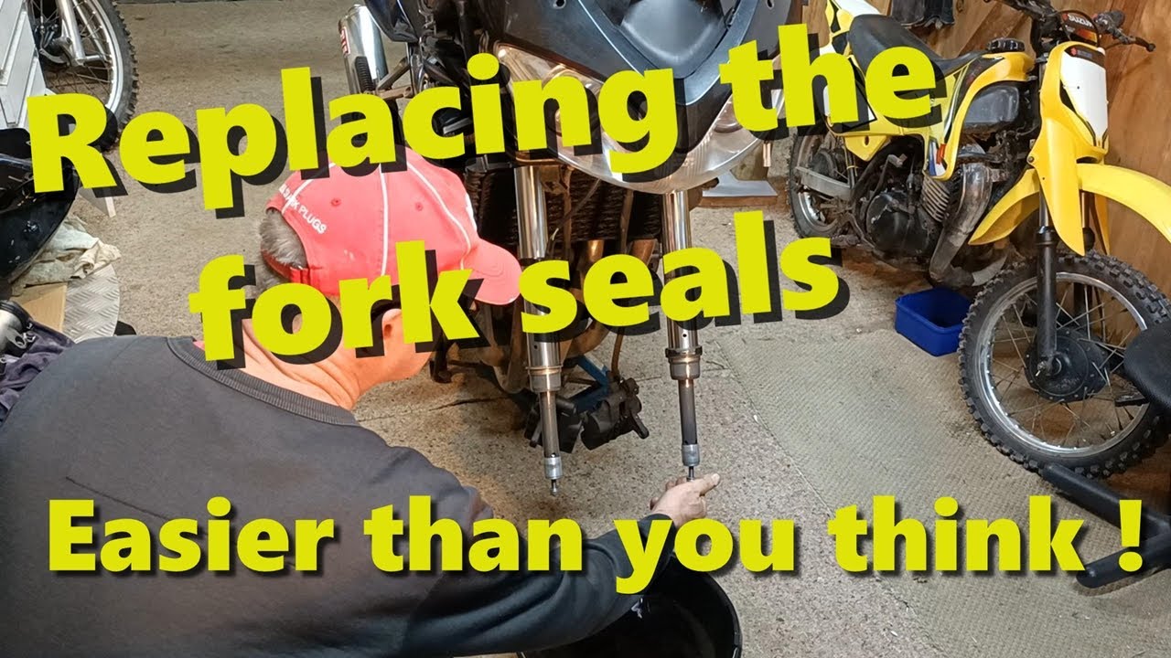 My Suzuki Bandit 1200 project | Part 8 (fork seals)