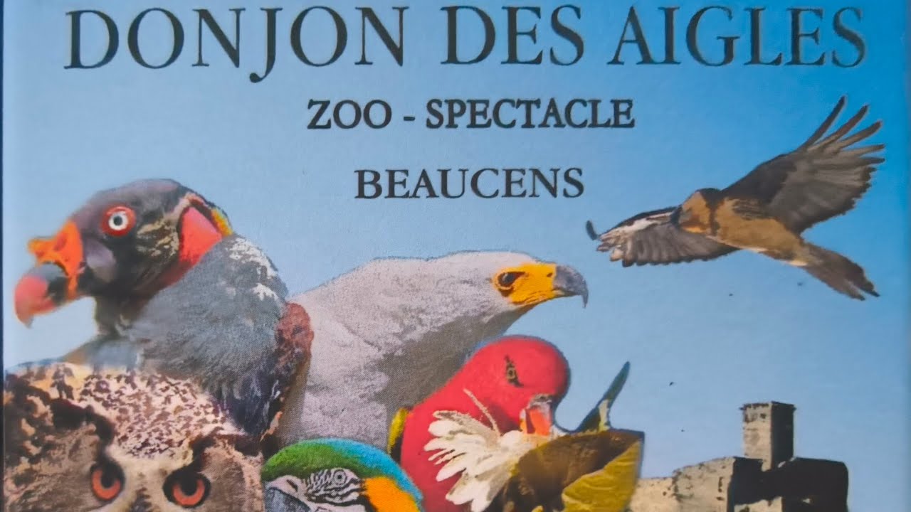 Donjon des aigles  🦅