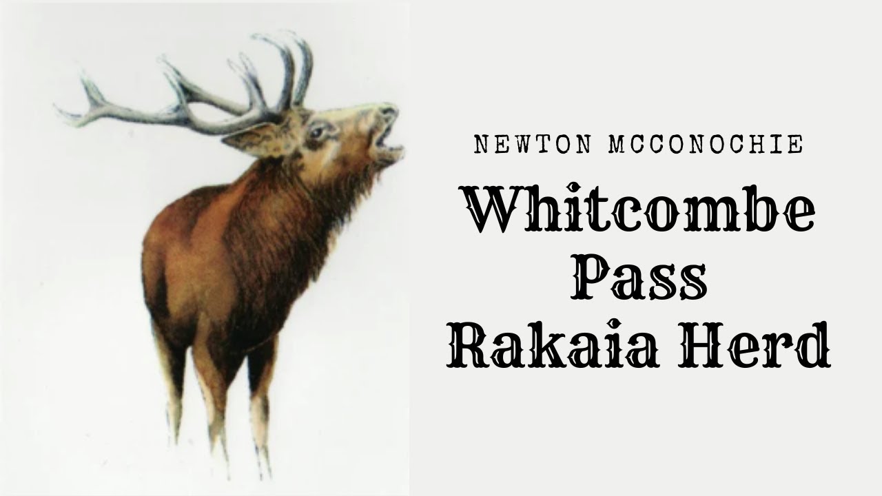 The Records Club Newton McConochie, Whitcombe Pass, Whitcombe Valley; Rakaia Herd, 1934