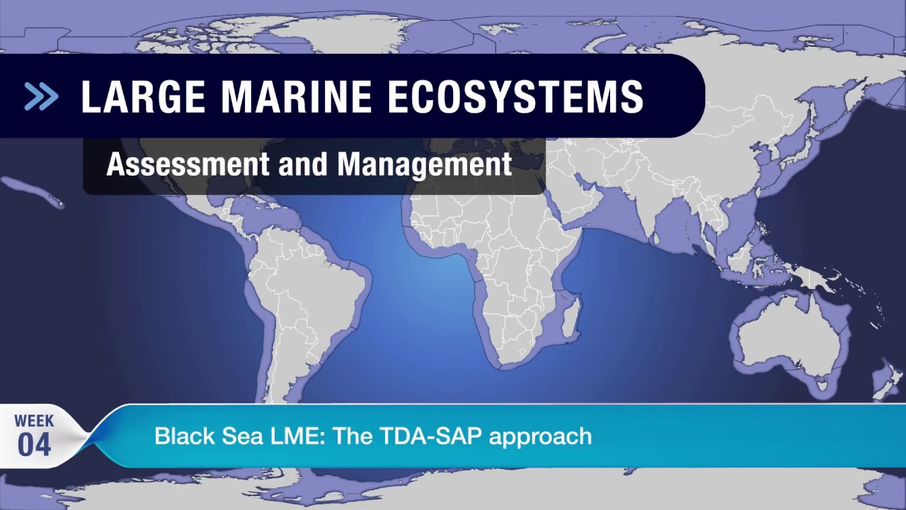 Week 4: Vladimir Mamaev on the Black Sea Large Marine Ecosystem: TDA-SAP approach
