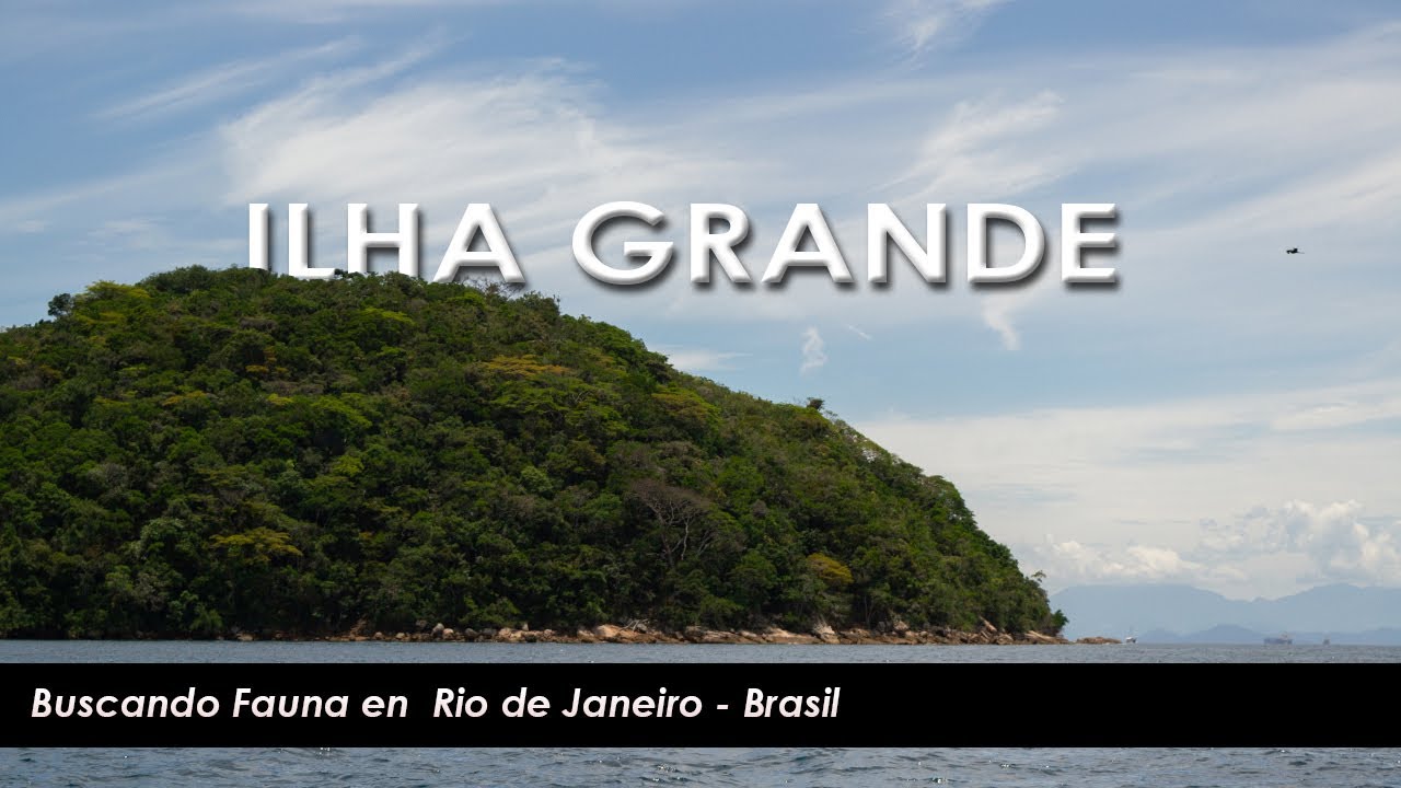ILHA GRANDE – RIO DE JANEIRO – Buscando Fauna en BRASIL