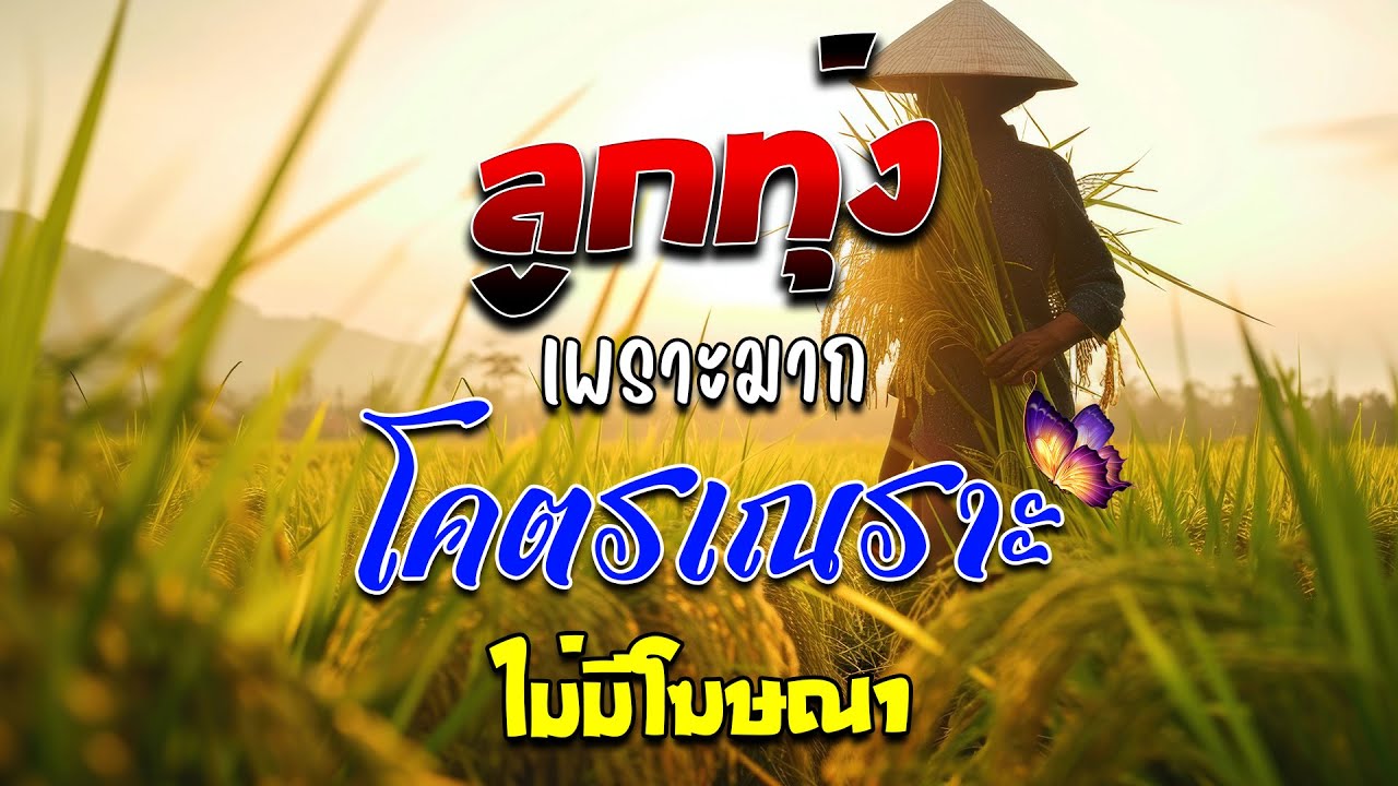 ลูกทุ่งเพราะมาก : ลูกทุ่งเพื่อชีวิตโคตรเพราะ ฟังต่อเนื่องหลายเพลง ไม่มีโฆษณา