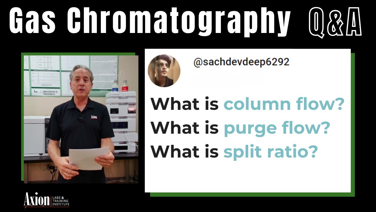 In gas chromatography what is column flow, purge flow, split ratio?