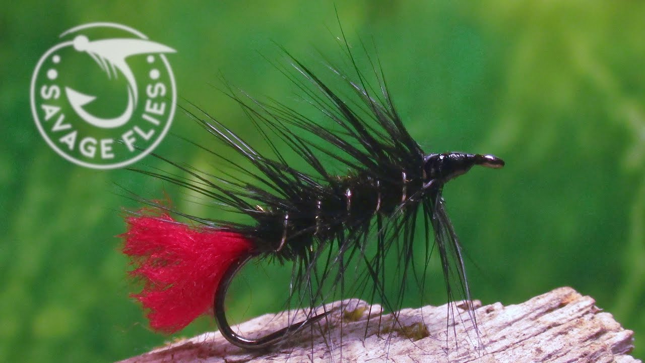 Fly Tying the Zulu (Classic and Simple Wet Fly Pattern)