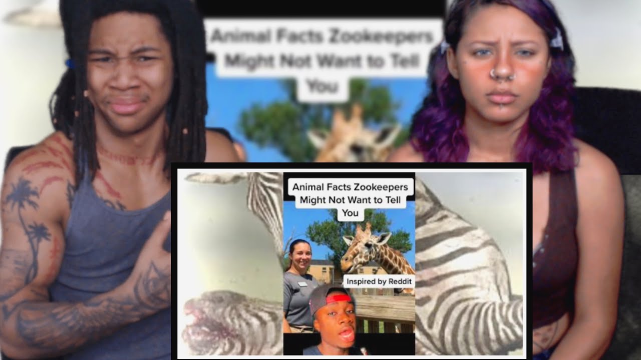 Animal Secrets Zoos Don’t Want You To Know (Casual Geographic) | Reaction