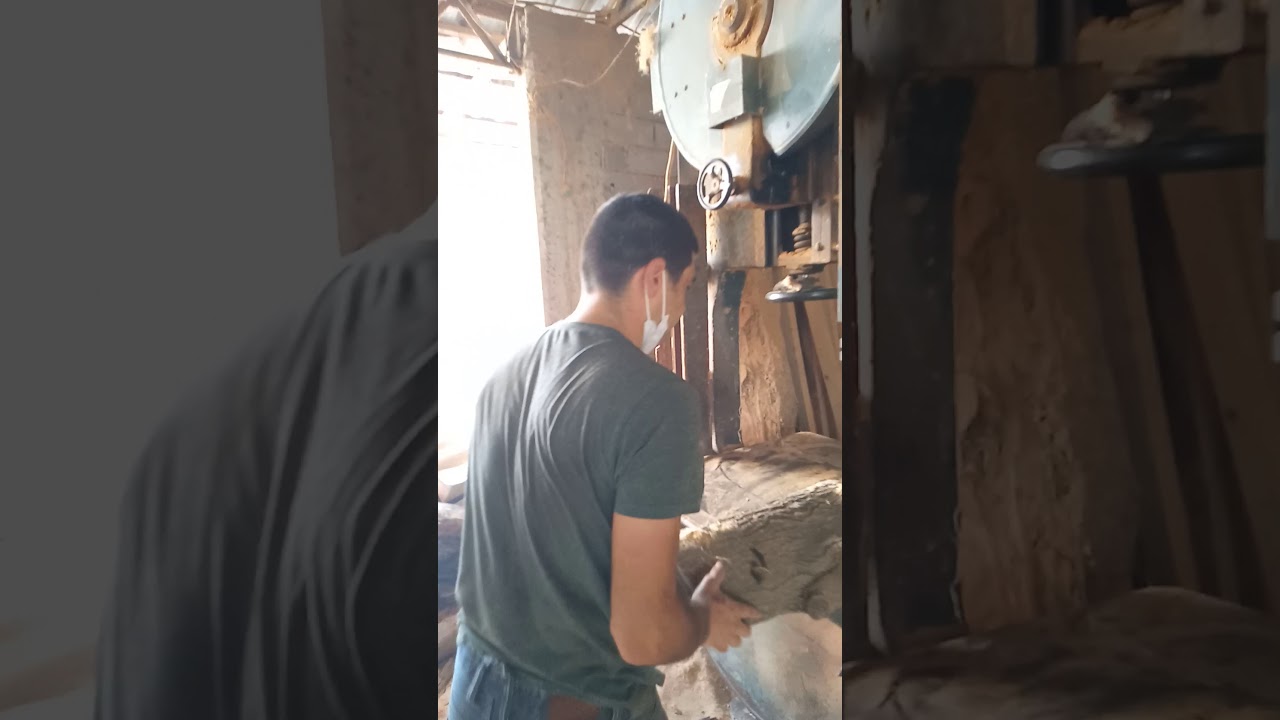 hizar şerit testere odun kesme