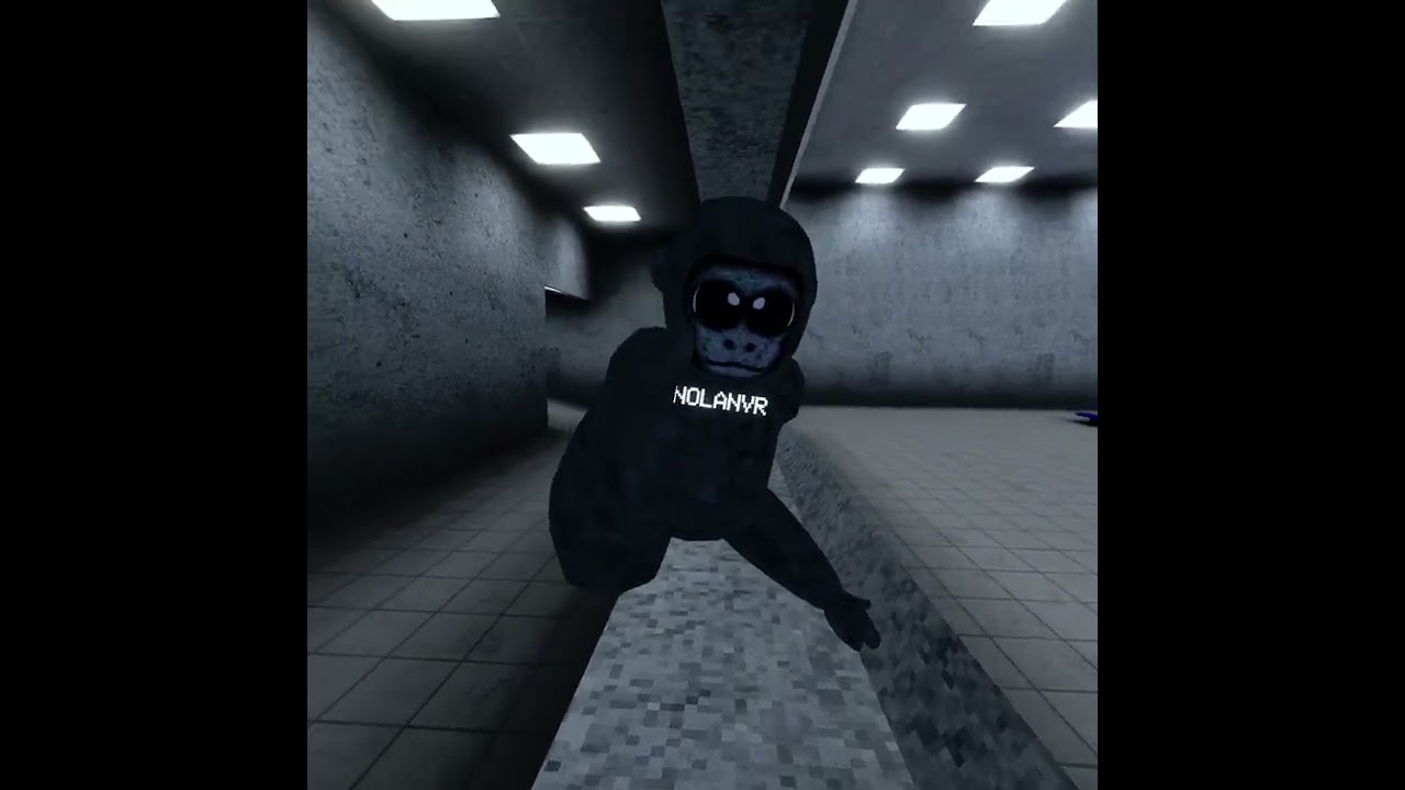 playing monkey portal with nolan