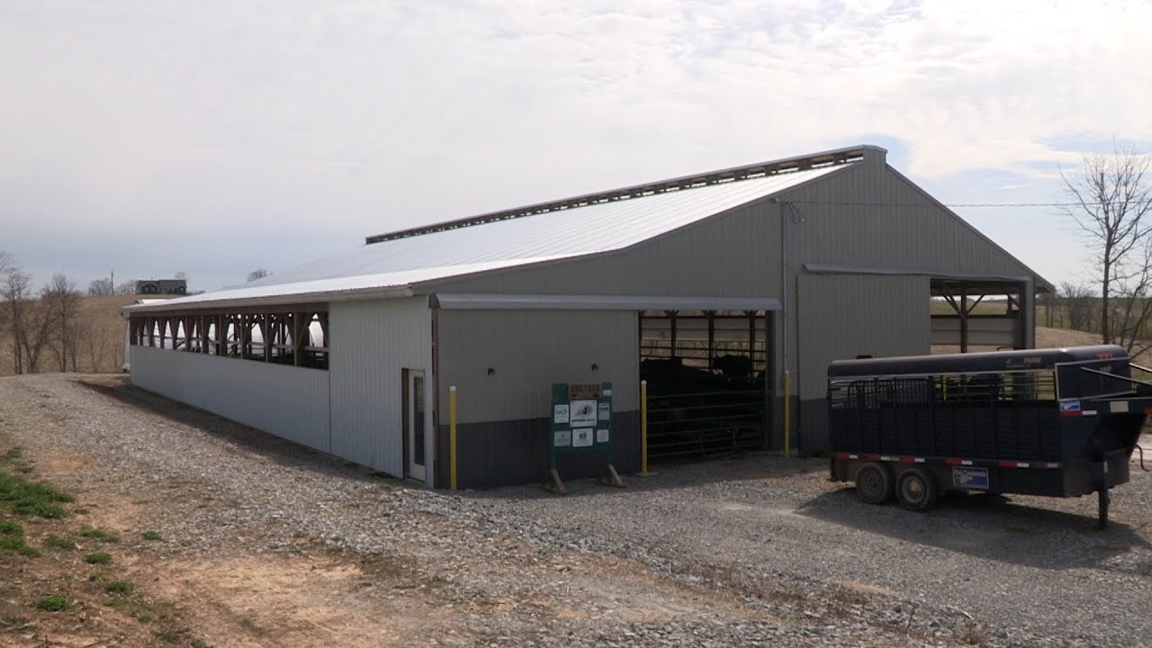 Beef producers prioritizing cow-comfort (video)
