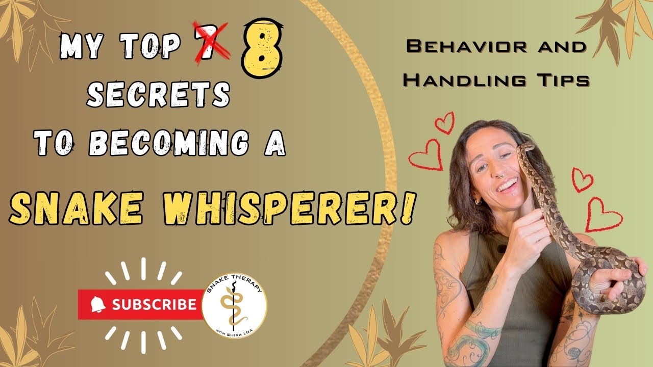 Snake Handling And Behavior- the Rewards of Understanding Snakes