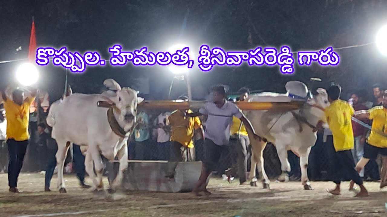 బనిగళ్ళపాడు న్యూ కేటగిరి 9వ కొప్పుల హేమలత శ్రీనివాస్ రెడ్డి   రామలక్ష్మి పురం గ్రామం సూర్యాపేట