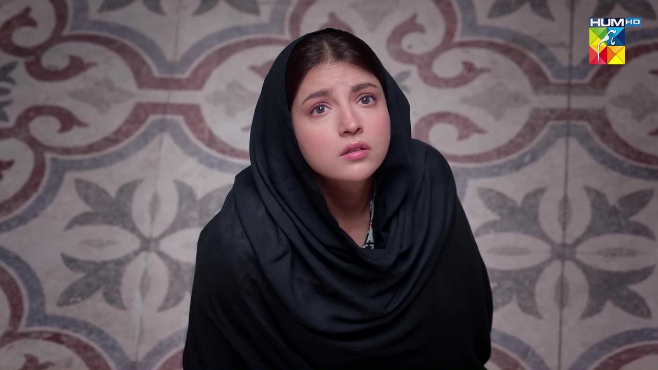 Hurmat &ndash; Official Teaser | Dananeer Mobeen & Shahveer Jafry | New HUM TV Drama | Coming Soon