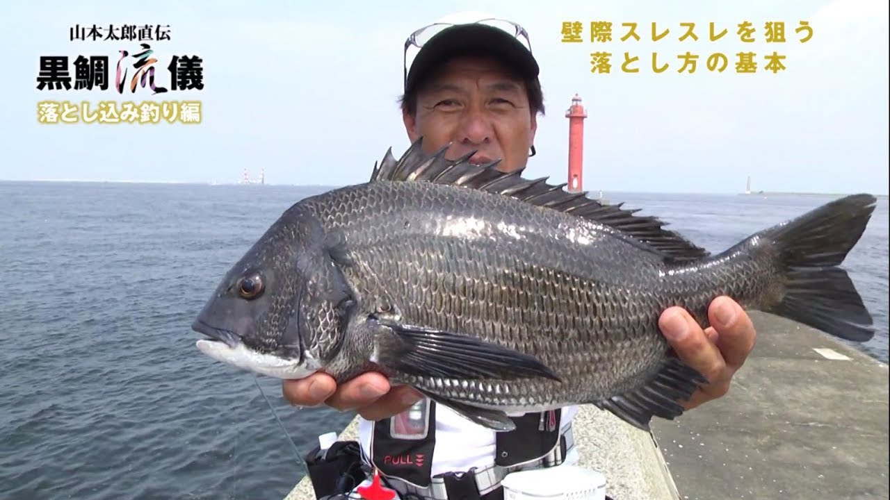 黒鯛流儀 落とし込み釣り編 ［壁際スレスレを狙う落とし方の基本］