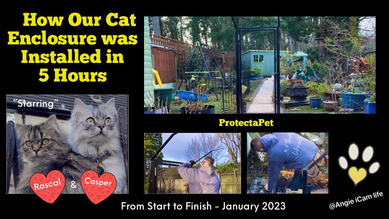 How Our Cat Enclosure Installation was done from start to finish #cutecat #catio #protectapet