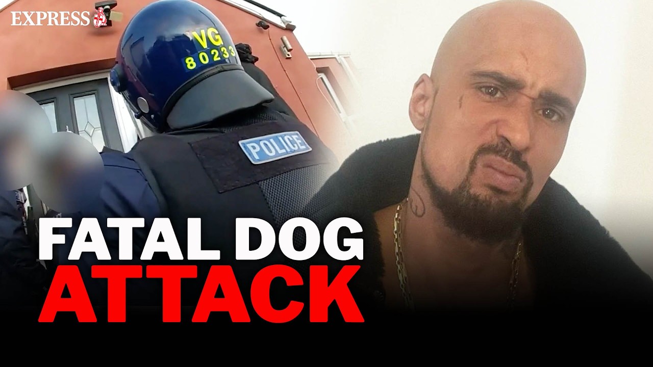 'SHAME ABOUT THE LAWS' Rapper found guilty after XL Bully killed pensioner