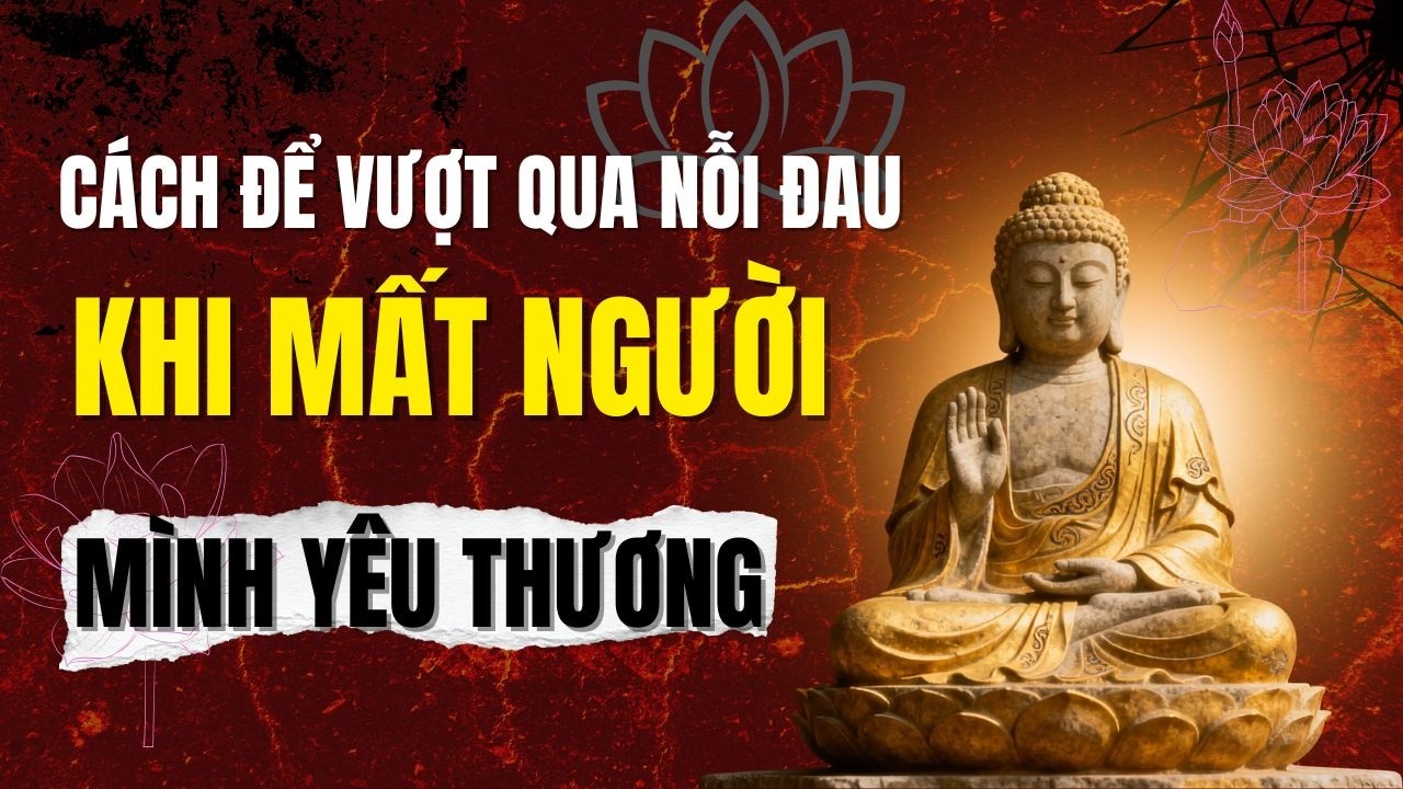 Làm Sao Để Vượt Qua Đau Buồn Khi Người Bạn Yêu Thương Qua Đời?