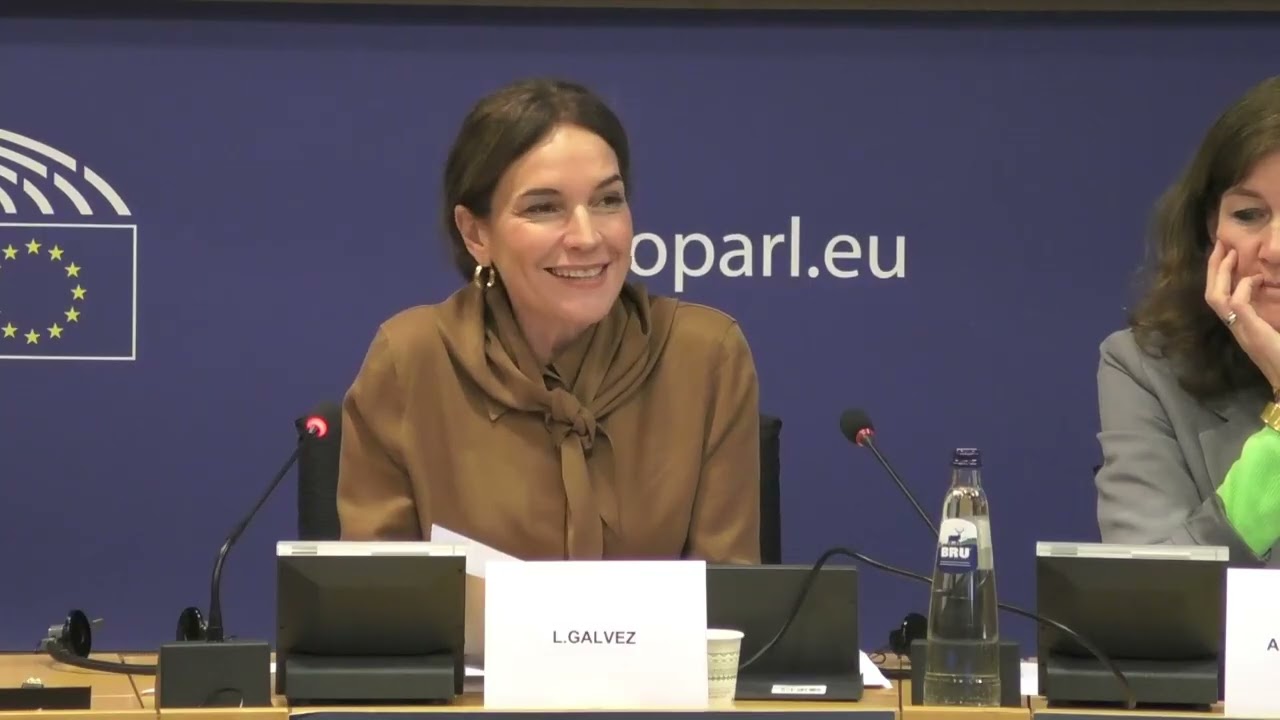 STOA workshop: Humanities and social sciences at the heart of Europe's future - MEP Lina Galvez S&D