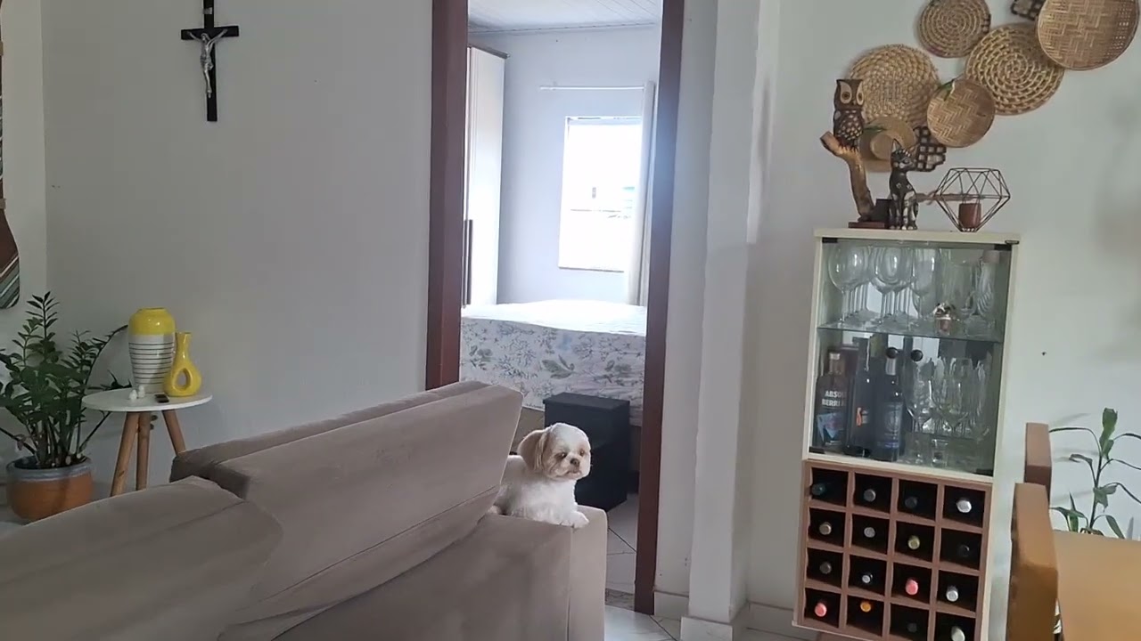 Essa casa simples me acolhe todos os dias.