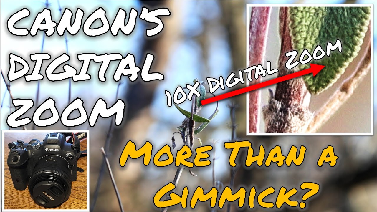 Digital Zoom for (Some) Canon R Series Cameras: A Hidden Gem of a Video Feature!