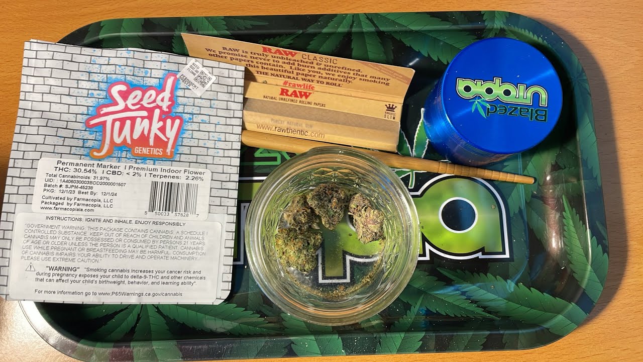 BLINDGORILLAS HOW TO ROLL A JOINT LIVE SEED JUNKY PERMANENT MARKER 02/10/24 9AM