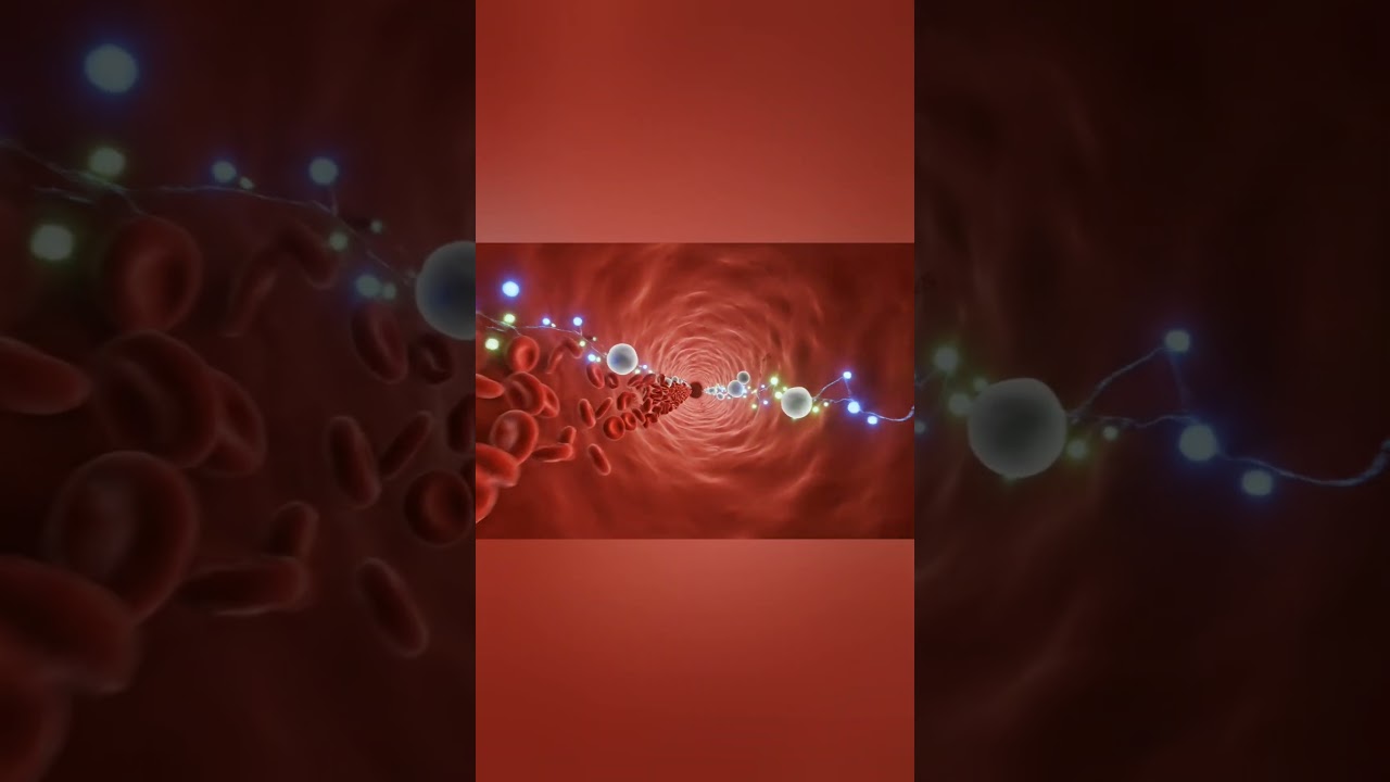 Journey Inside Blood Vessels in 3D