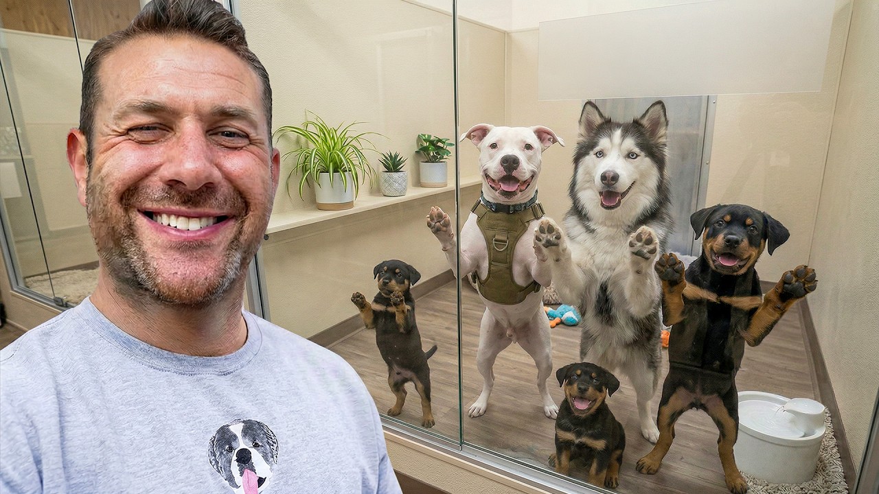 I Toured a Local Shelter, and Adopted Their Dogs