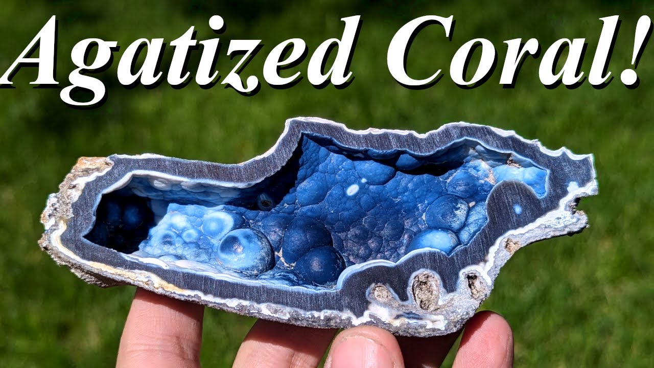 So Much Coral! Cutting a Heap of Beautiful Agatized Coral Geodes and Silicified Fossil Corals!
