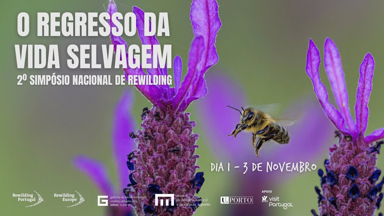II Simp&oacute;sio Nacional de Rewilding - Dia 1