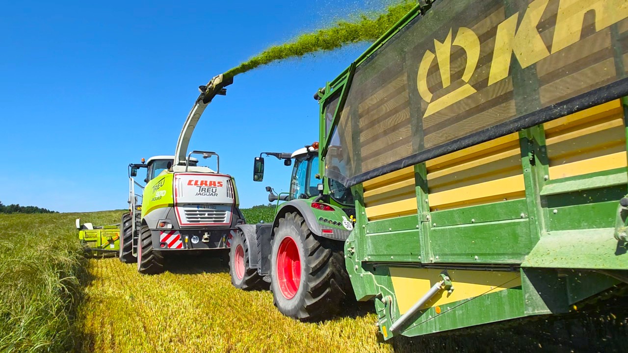 Claas Jaguar 970 mit neuen 600 Direct Disc bei Weidelgras-Silage mit Favorit 824 Turbo!