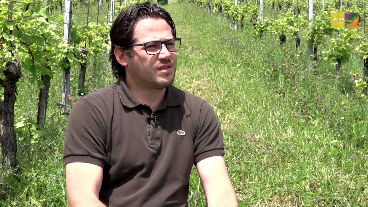 Weingut Hannes Sabathi